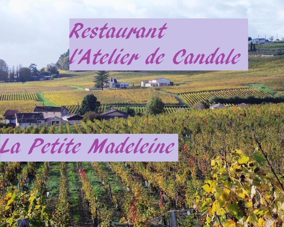 Отель La Petite Madeleine Кастийон-ла-Батай Экстерьер фото